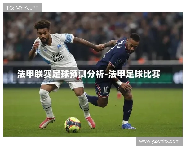 法甲球队赛季分析报告及未来发展建议