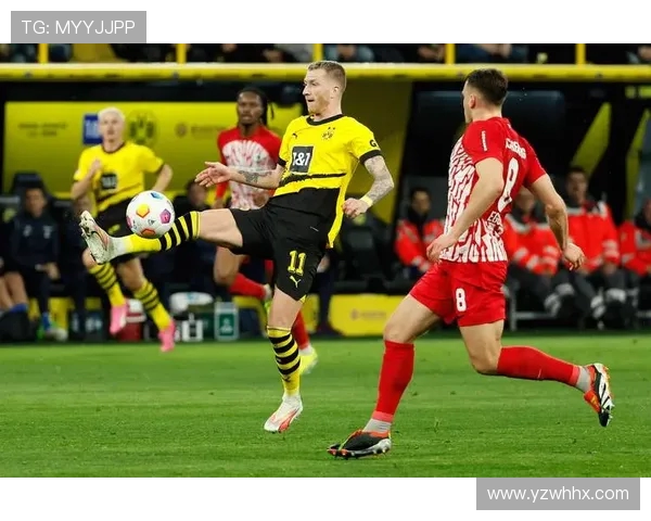 用一句话赞扬德甲球队：战术、精神、传统