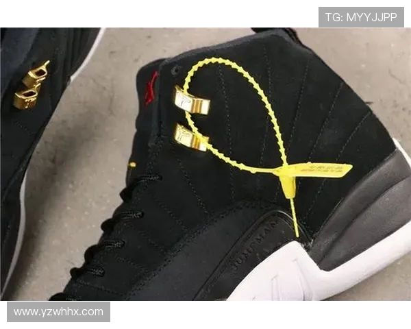 聚焦aj12白金世界杯巅峰对决与荣耀传奇全景解析深度探秘盛宴